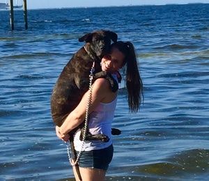 Meet your Posher, Sierra